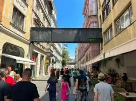 The heart of Sarajevo Apartment