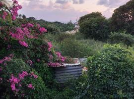 Chambre avec terrasse vue mer, B&B in Grand-Bourg