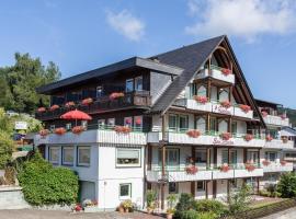 Gästehaus Behle-Schäperken, δωμάτιο σε οικογενειακή κατοικία σε Willingen