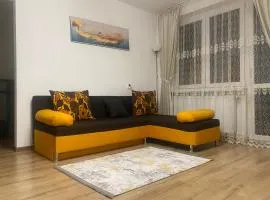 Apartament Dinu Toplita