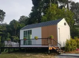 The Pubpa Backyard