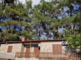 Butterfly Home, vacation home in Platres