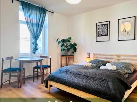 할레 안 데어 잘레에 위치한 호텔 Saale, Marktplatz Zentrum, Apartmenthaus am Dom von Plant Room