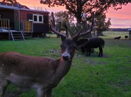 B&B 't Maartensdijkse Bos, bed & breakfast a Maartensdijk