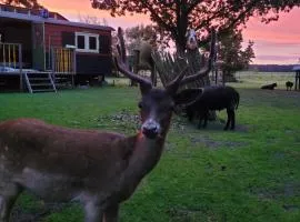 B&B 't Maartensdijkse Bos