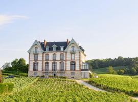 Chateau de Sacy, hotel v destinácii Sacy