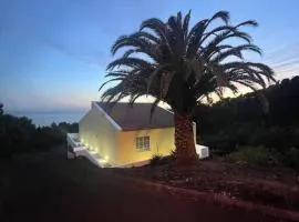 Palm Tree House