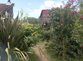 Nature Hostel, bed & breakfast kohteessa Barra de Valizas