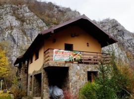CASA ARTEMI, cottage in Remeţi
