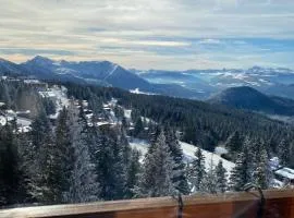 Les Balcons d'Edelweiss