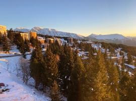 Les Balcons d'Edelweiss, hotel cerca de Perche, Chamrousse