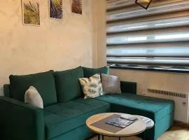 Magnum apartment Titova vila