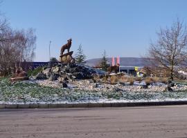 Logîte Touristique Les 3 Loups – hotel w mieście Châtenois