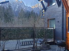 2 mistreti - casute cu vedere la creasta Bucegilor