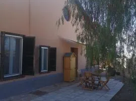 Vegan garden Apartment