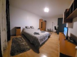 Studio BDN, self-catering accommodation in Sângeorgiu de Mureș