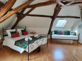 Moulin De Bacchus - Châteaux de la Loire