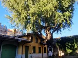 Casa del Cedro - Comfort e relax