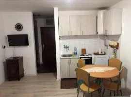 Apartman Ema,Bela Reka,Brzece