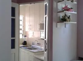 Aparts Ilha Centro-casa 2 qtos e casa 1 qto mezanino