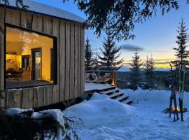 Forest cabin with stunning mountain view & Sauna，圖什比的木屋