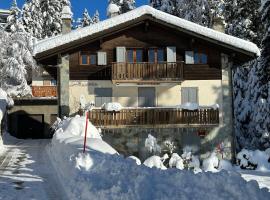 APPARTEMENT DE CHARME EN ATTIQUE dans UN PETIT CHALET, hotel en Crans-Montana