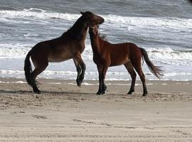 Wild Horse Inn, self catering accommodation in Corolla