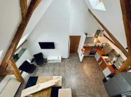 Duplex + parking gratuit facile