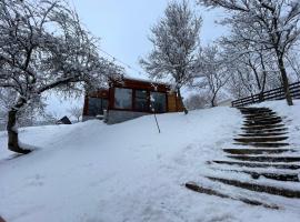Biutiful Bungalow, Hotel in Vişeu de Sus