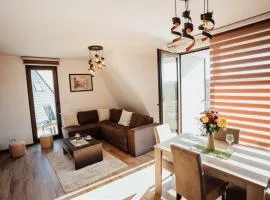 Apartman Petar 26
