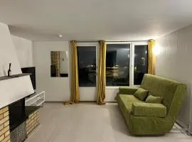 Beautiful and central apartment in Oslo and Bærum