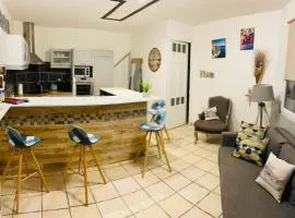 Appartement Collioure centre & GARAGE PRIVATIF