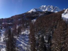 STUDIO PIED DE PISTE PELVOUX 1, hotel em Vars