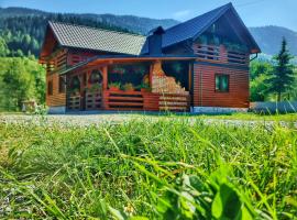 Cabana Dintre Munti, villa in Vidra