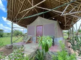 Eco Mara Tented Camp