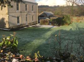 Fferm Glanyrynys Farm, bed and breakfast en Carmarthen