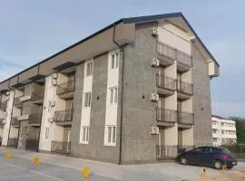 Apartman Iris Srebrno jezero