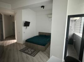Alin`s Rooms, apartmán v destinácii Drobeta-Turnu Severin
