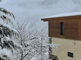 Likani-house's Cottage, hotel in Borjomi