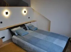 Magnifique logement, 2 chambres,