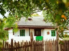 Casuta Muzeu La Artar
