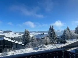 Helle Wohnung mit großem Balkon