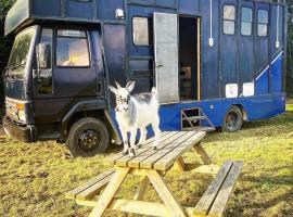 North Yorkshire Horse Box, glamping en York