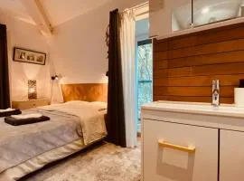 Superbe appartement proche de Paris