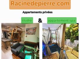 Racine De Pierre, hotel i Castres