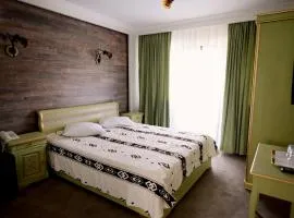 Pensiunea Casa Doamnei Voronet