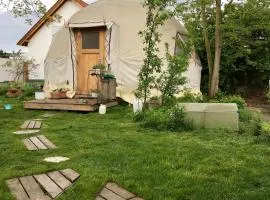 Geo Dome