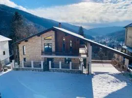 Stone House Sinaia