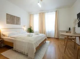 Bright and cozy studio with a city view