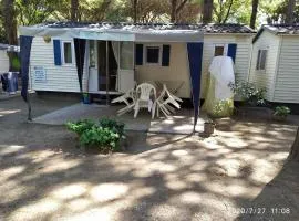 MIPRO Mobilhome